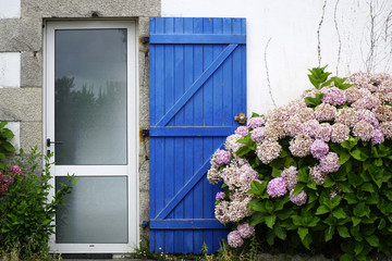 Apportez de la lumière avec une porte d’entrée vitrée